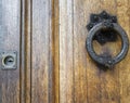 Details of an old wooden door.