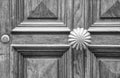 Details of an old wooden door