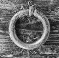 Details of an old wooden door