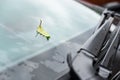 Solitary fallen leaf seen on a car windscreen, seen during a heavy downpour. Royalty Free Stock Photo