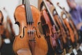 Details with parts of violins before a symphonic classical concert Royalty Free Stock Photo