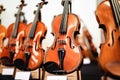 Details with parts of violins before a symphonic classical concert Royalty Free Stock Photo