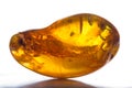 Details preserved in amber Royalty Free Stock Photo