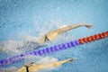 Details with a professional female athlete swimming in an olympic swimming pool