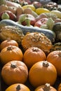 Details of the pumpkin fair of Piozzo