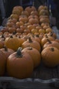 Details of the pumpkin fair of Piozzo