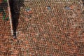 Details of red tiled roofs of medieval Brasov town in Transylvania, Romania. Europe