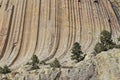 Details of the rocks slopes of Devils Tower Royalty Free Stock Photo