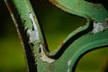 Details of a rusty bench in a park Royalty Free Stock Photo