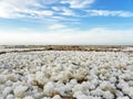 The details of salt crystals in salt flat polygons in desert , Iran