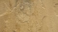 Details of sandstone texture background;Details of sandstone texture background Royalty Free Stock Photo