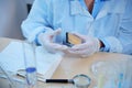 Close-up . Scientist chemist hands in medical gloves holding a container with litmus paper for measuring the PH Royalty Free Stock Photo