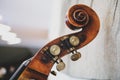 Details with the scroll, peg box, nuts, machine heads, tuning keys and tuners the headstock of a double bass Royalty Free Stock Photo