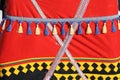 Details of the Siberian Nenets national ornament in the decoration of reindeer sleds