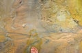 In details single star fish lying on the sand of sea shore where sands made a very eye catching pattern on a beach near the Royalty Free Stock Photo