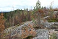 Details of slope of Mount Hiidenvuori