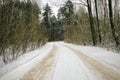 details of the snow-covered road in forest Royalty Free Stock Photo