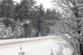 details of the snow-covered road in forest Royalty Free Stock Photo