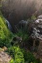 Details of the sources of the river Algar in Alicante, Spain.