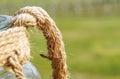 details straw rope knot on green background Royalty Free Stock Photo
