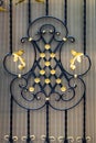 Details, structure and ornaments of forged iron gate. Floral dec Royalty Free Stock Photo