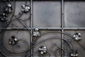 Details, structure and ornaments of forged iron gate. Floral dec Royalty Free Stock Photo