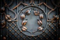 Details, structure and ornaments of forged iron gate. Floral dec Royalty Free Stock Photo