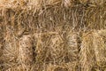 The details texture of the rice straw as background. Royalty Free Stock Photo