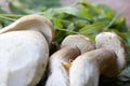 Details of three porcini mushrooms, green leaves background Royalty Free Stock Photo