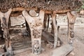 Details of Toguna in a Dogon village, Mali.