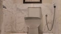 Details of the toilet interior. A white faience toilet bowl with the lid down.