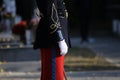 Details with the uniform of a French honor guard soldier