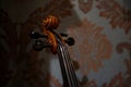 Details of Violin head Royalty Free Stock Photo