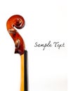 Details of violin head isolated Royalty Free Stock Photo