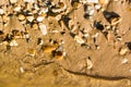 Details of water to throw sand and rocks in the background.