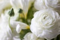 Details of a wedding bouquet with white buttercup and buds