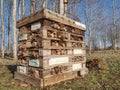 Wild bee house with many holes. Wooden insect hotel