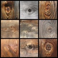 Details of wood knots