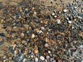 details wood Water sea waves beach sand pebbles