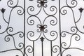 Details wrought iron fence Royalty Free Stock Photo