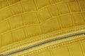 Detal of handbag with zipper from genuine leather embossed under the skin of reptile. Concept of shopping, manufacturing