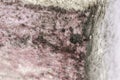 Detal of mold and moisture buildup on pink wall Royalty Free Stock Photo