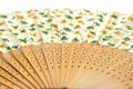 Detalis Chinese fan Royalty Free Stock Photo