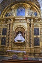 Detalle del templo de Santo Domingo en Oaxaca7