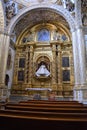 Detalle del templo de Santo Domingo en Oaxaca6