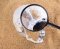 Detective Collecting looking Evidence cause of dead in a Crime Scene. White Bone Skull found under Sand in island as treasure map