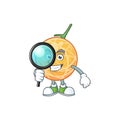 Detective fruit cantaloupe cartoon character for food