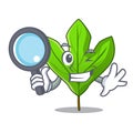 Detective sassafras leaf in the cartoon stem