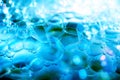 Detergent bubbles, bubble closeup background image Royalty Free Stock Photo