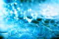 Detergent bubbles, bubble closeup background image Royalty Free Stock Photo